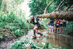 BIB: 
                            <button type="button" onclick="openModal(25517686)" class="btn btn-primary btn-sm float-right btn-popup" data-toggle="modal" data-target=".modal-high-quality">
                        <i class="fas fa-shopping-cart"></i> Add to Cart
                    </button>
                                            <button type="button" onclick="isThisMe(25517686, true)" class="btn btn-success btn-sm float-right btn-popup btn-isme hidden" data-toggle="tooltip" data-placement="bottom" title="นี่คือรูปของคุณใช่ไหม คลิกที่นี่เพื่อเอาเข้าอัลบั้ม">
                        <i class="fas fa-plus"></i> Add to album
                    </button>
                    <button type="button" onclick="isThisMe(25517686, false)" class="btn btn-warning btn-sm float-right btn-popup btn-isnotme hidden">
                        <i class="fas fa-ban"></i> Remove from album
                    </button>